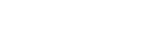 The Net logo