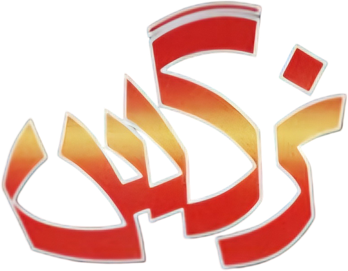 Nargess logo