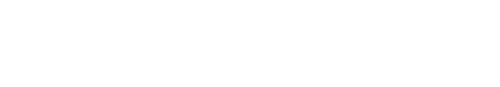 The Black Swindler logo