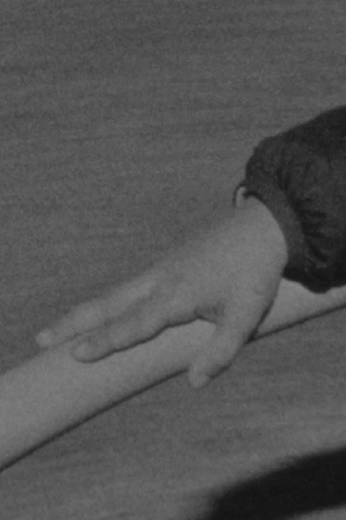 La memoria suspendida: Fragmentos de una mente en pausa