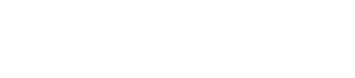 Million Dollar Nannies logo