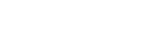 Wonder Pets: In the City logo