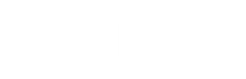 Saint logo