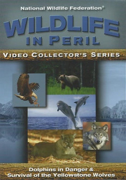 Wildlife in Peril