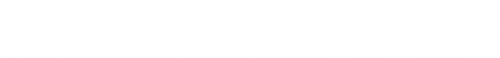 Hurricane logo