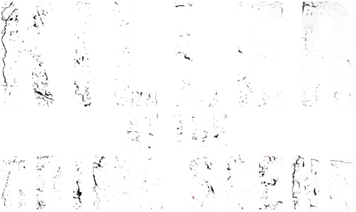 Killer at the Crime Scene logo