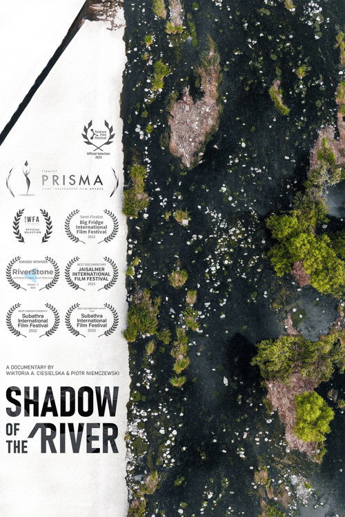 Shadow of the River