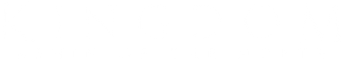 Kingdom: Ashin of the North logo
