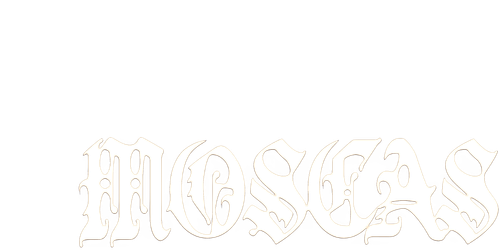 Moscas logo