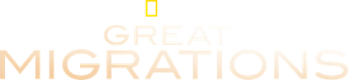 Great Migrations logo
