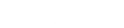 The Twins Effect 2 logo