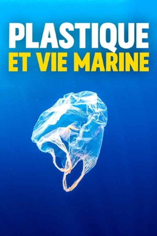 Leben auf Plastik - Per Anhalter durchs Meer