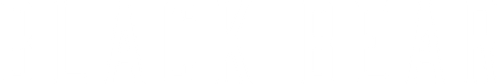 Black Bear logo
