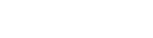 Low Blow logo