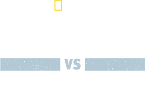 Shark Vs. Whale logo