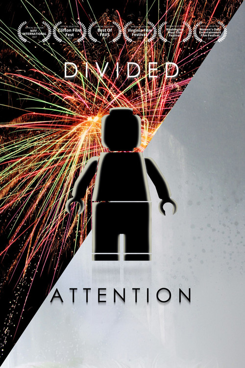 Divided Attention