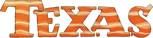 Texas logo