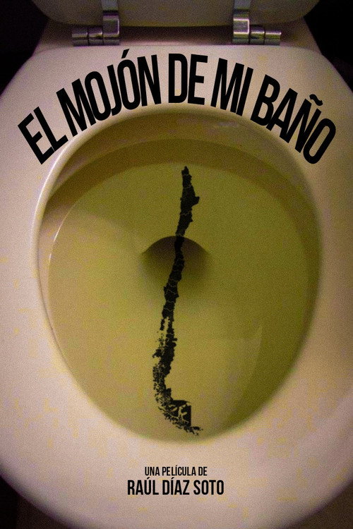 The Poop in my Bathroom