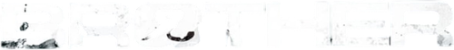 Brother logo