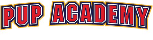Pup Academy : L'école secrète logo