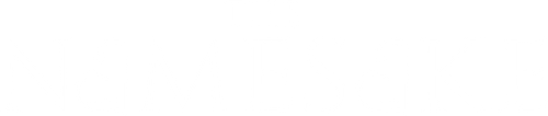 The Namesake logo