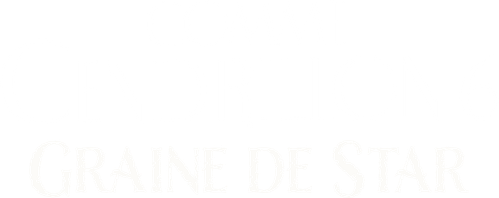 Comme Cendrillon 6 : Graine De Star logo