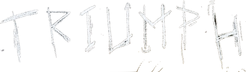Триумф logo