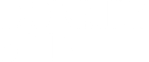 Donkey Skin logo