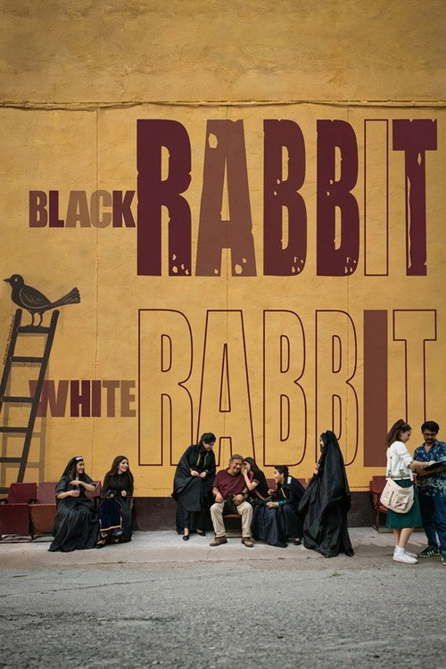 Black Rabbit, White Rabbit