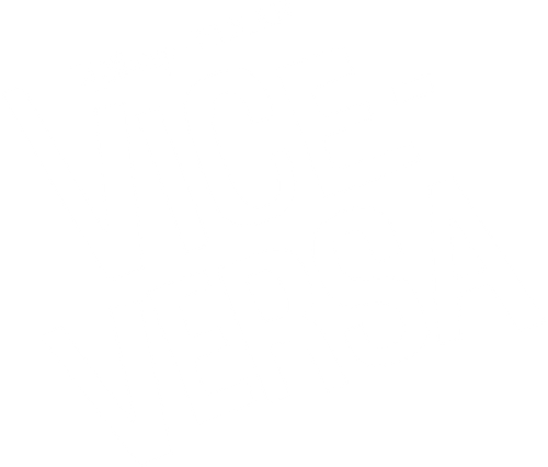 Vice-versa logo