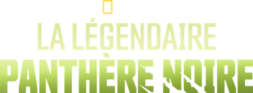 La légendaire panthère noire logo
