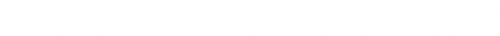The Visitor logo