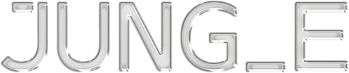 JUNG_E logo