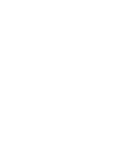 The Boy Next World logo