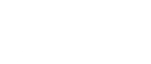 Laila Majnu logo