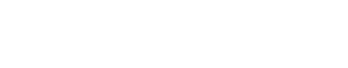 Saint X logo
