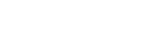 America Is Sinking logo