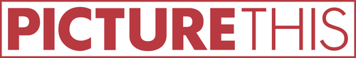 Picture This logo