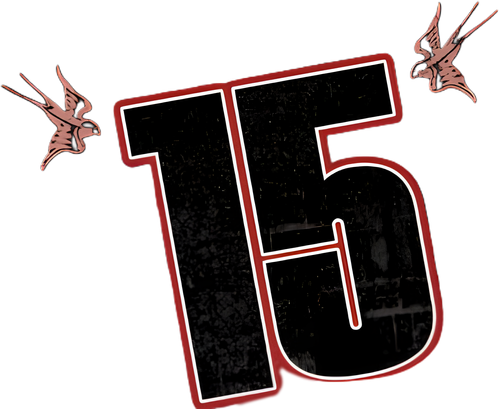 15 logo