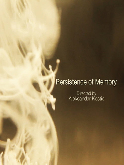 Persistence of Memory