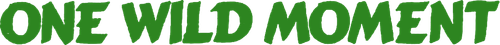 One Wild Moment logo