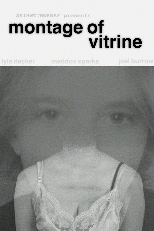 Montage of Vitrine