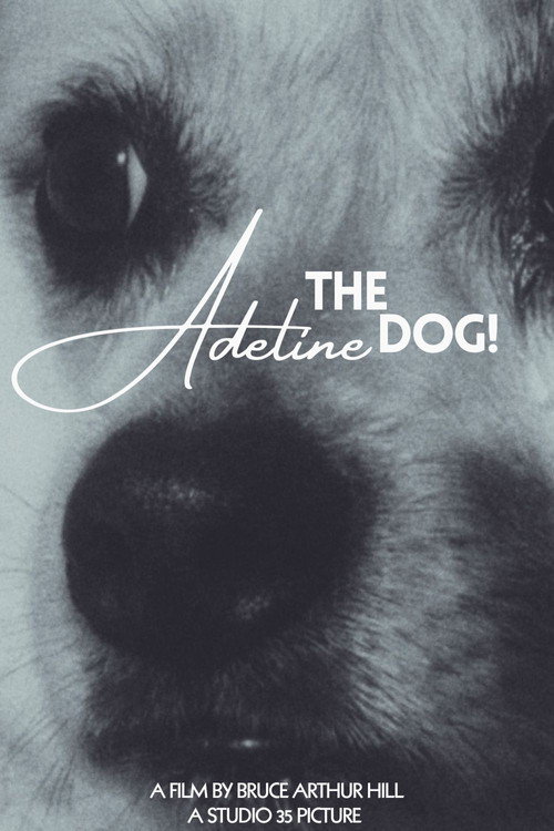 Adeline The Dog!