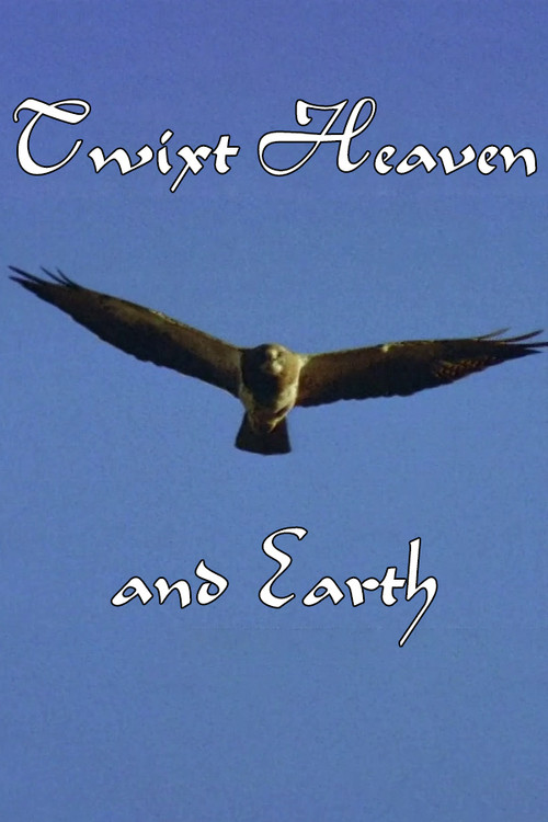 Twixt Heaven and Earth