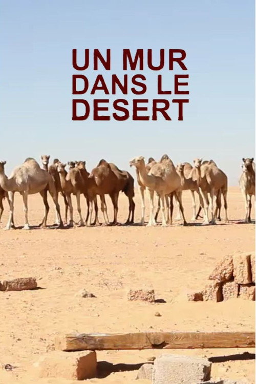 Un mur dans le désert