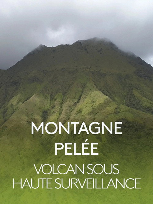 Montagne Pelée, volcan sous haute surveillance