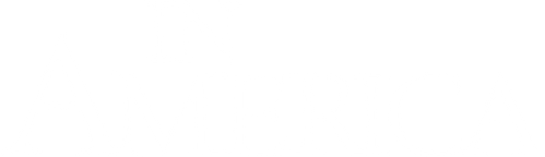 In America logo