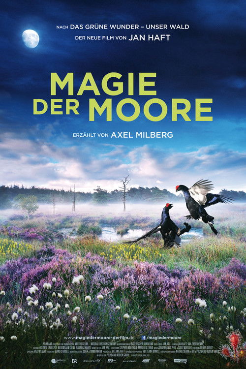 Au rythme des marais