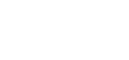 Roller Blade Warriors: Taken by Force logo