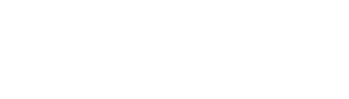 おっさんずラブ -in the sky- logo